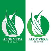 Green plant aloe vera logo vector icon symbol many benefits