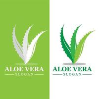 Green plant aloe vera logo vector icon symbol many benefits