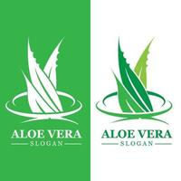 Green plant aloe vera logo vector icon symbol many benefits