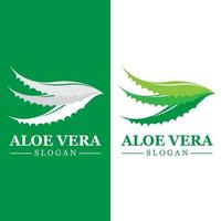 Green plant aloe vera logo vector icon symbol many benefits