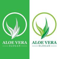 Green plant aloe vera logo vector icon symbol many benefits