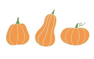 Set of pumpkin in hand drawn style vector