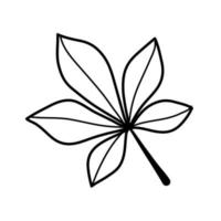 Chestnut leaf in line style in black color. vector