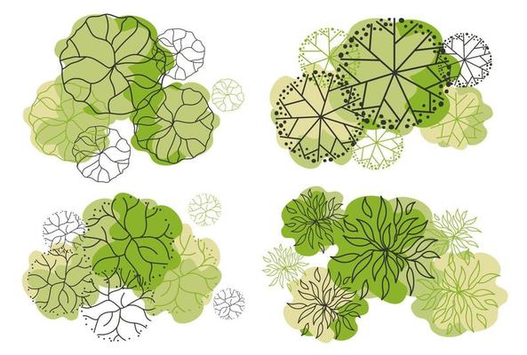 Tree for architectural floor plans. Entourage design. Various trees, bushes, and shrubs, top view for the landscape design plan.