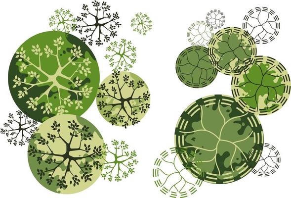 Tree for architectural floor plans. Entourage design. Various trees, bushes, and shrubs, top view for the landscape design plan.