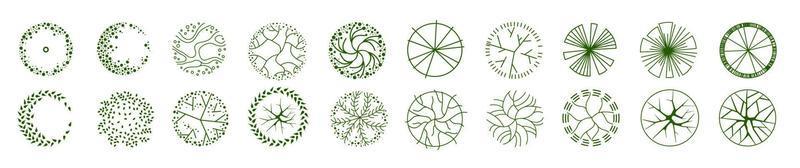 Tree for architectural floor plans. Entourage design. Various trees, bushes, and shrubs, top view for the landscape design plan. vector