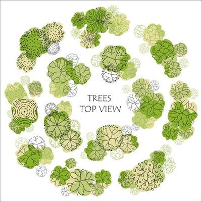 Tree for architectural floor plans. Entourage design. Various trees, bushes, and shrubs, top view for the landscape design plan.