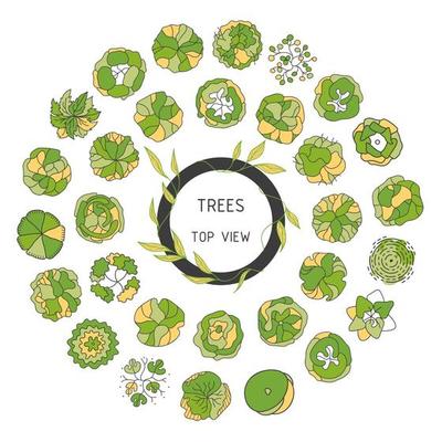 Tree for architectural floor plans. Entourage design. Various trees, bushes, and shrubs, top view for the landscape design plan.