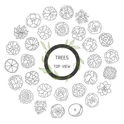 Tree for architectural floor plans. Entourage design. Various trees, bushes, and shrubs, top view for the landscape design plan.