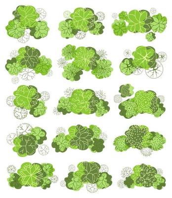 Tree for architectural floor plans. Entourage design. Various trees, bushes, and shrubs, top view for the landscape design plan.