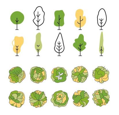 Tree for architectural floor plans. Entourage design. Various trees, bushes, and shrubs, top view for the landscape design plan.
