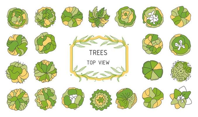 Tree for architectural floor plans. Entourage design. Various trees, bushes, and shrubs, top view for the landscape design plan.