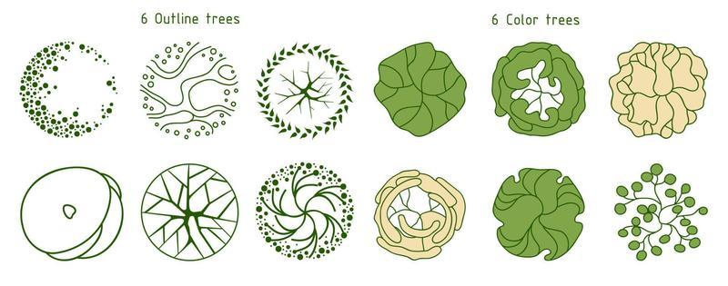 Trees for the master plan. Tree plans for architectural floor plans or landscape designs.