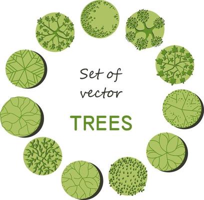 Tree for architectural floor plans. Entourage design. Various trees, bushes, and shrubs, top view for the landscape design plan.