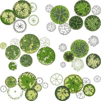 Tree for architectural floor plans. Entourage design. Various trees, bushes, and shrubs, top view for the landscape design plan.