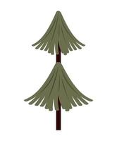 pine autumn season tree vector