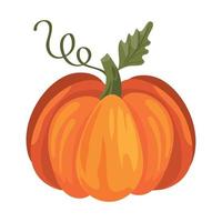 autumn season pumpkin vector
