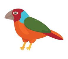 bunting bird animal spice vector