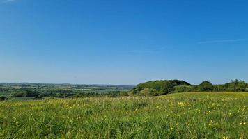 material de archivo de ángulo bajo de granjas agrícolas británicas y campo, foto