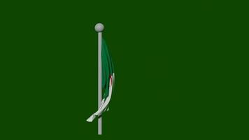 algerien flagga grön skärm video
