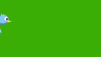 Birds Green Screen Stock Video Footage for Free Download Birds Green Screen Stock Video Footage for Free Download