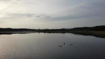 Aerial and High Angle Image Cute Water Birds are Swimming in the Stewartby Lake of England UK on Beautiful Early Morning at Sunrise photo