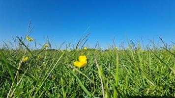 Low Angle Footage of British Agricultural Farms and Countryside, photo