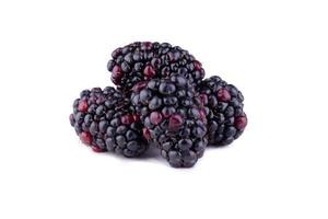 Blackberries or Dewberries isolated on a white background photo
