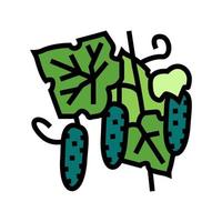 growing natural cucumber color icon vector illustration