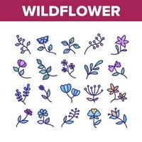 Wildflower Natural Collection Icons Set Vector