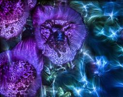 3D-Illustration of spring flowers with a high energy kirlian field glowing in different colors photo