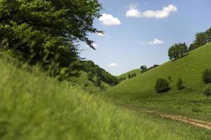 Zagajica hills in Serbia photo