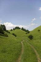 Zagajica hills in Serbia photo