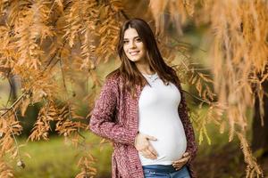 Young pregnant woman in the autumn park photo