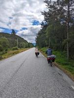 Two cycling male tourists moving on Norway fjords coastal road 4 photo