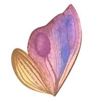 Retro watercolor butterfly wing, great design for any purposes. vector