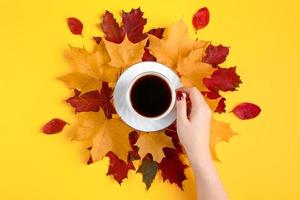 Hand holding cup of strong coffee. Hot autumn drink and yellow fallen leaves on bright background. photo