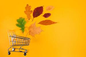 Autumn sale concept. Shopping cart and fallen colored leaves on yellow background. Creative composition for advertising. photo