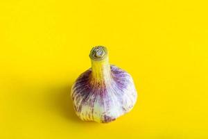 Fresh aromatic garlic on a yellow background. photo