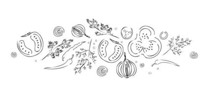 a pattern of vegetables. Seamless hand-drawn doodle drawing. Background illustration, postcards, posters vector