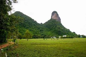 naturaleza de belleza de montaña alta en phaatthalung sur de tailandia foto