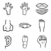 doodle human body part icon set with outline hand drawn style vector