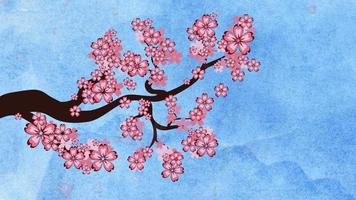 ramo di sakura in fiore