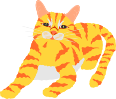 el encantador gato de rayas amarillas y naranjas se acuesta boca abajo y mira al frente.