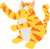 den härliga gul- och orangerandiga katten står på bakbenen och visar frambenen för att spela något upp. png