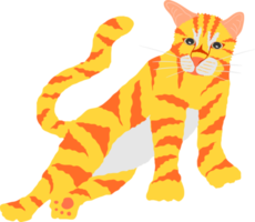 el encantador gato de rayas amarillas y naranjas tiene la mitad de las patas delanteras de pie y se acuesta sobre las patas traseras.