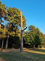 Beautiful View of Stockwood Park a Luton, The Free Access Public Park and Golf Playground at South Luton, Close to Motorways Junction of 10 of M1. photo