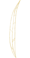 gouden glitter bloem en blad png