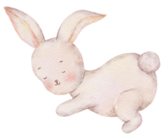 acuarela de dibujos animados de pascua png