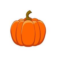 ilustración de gráficos vectoriales de calabaza aislada sobre fondo blanco vector